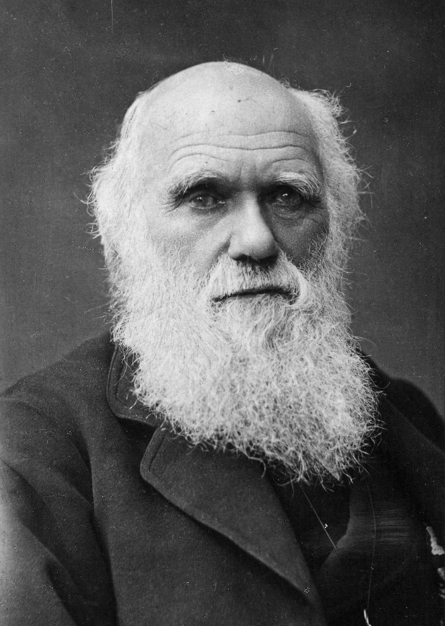 20210224-image-dpa-mb-Charles Darwin