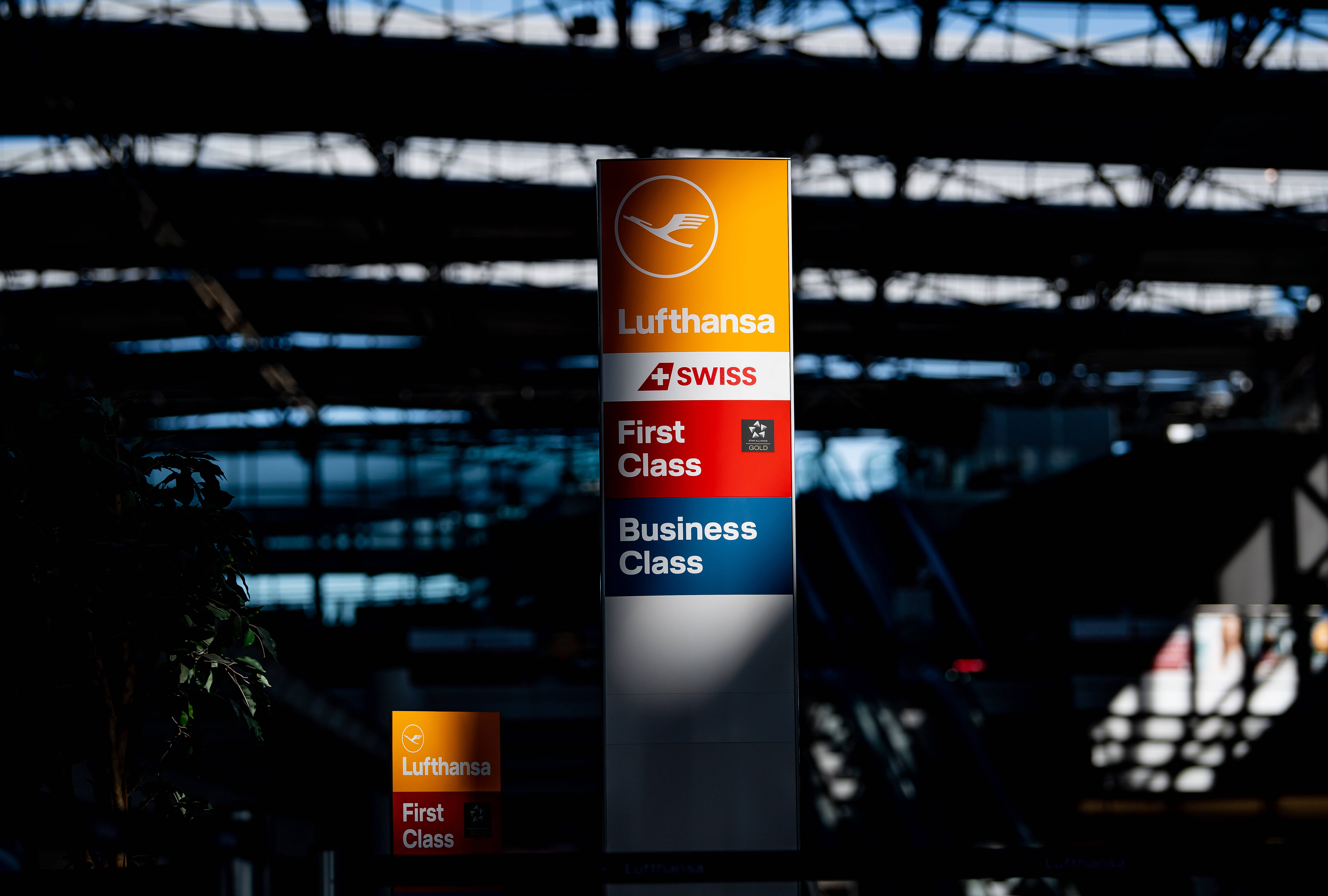 Lufthansa & Co